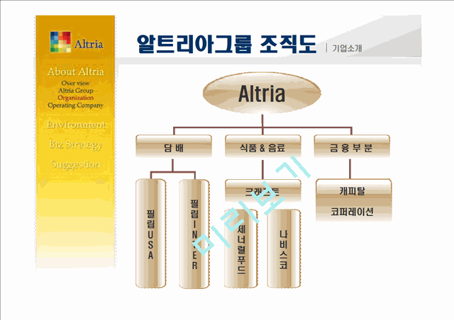 [기업경영전략]Altria Group 마케팅 분석   (7 )
